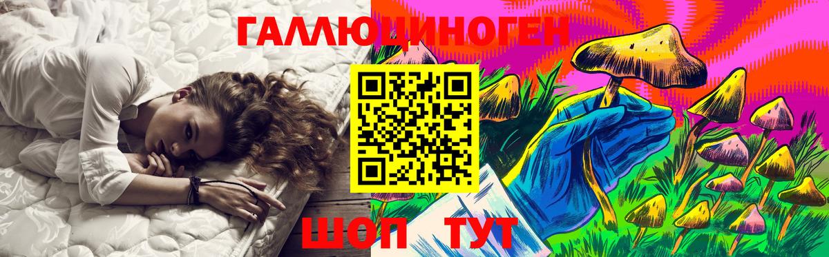 Буйнакск  Галлюциногенные грибы Cubensis  Вход с VPN 